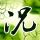 吐槽大会